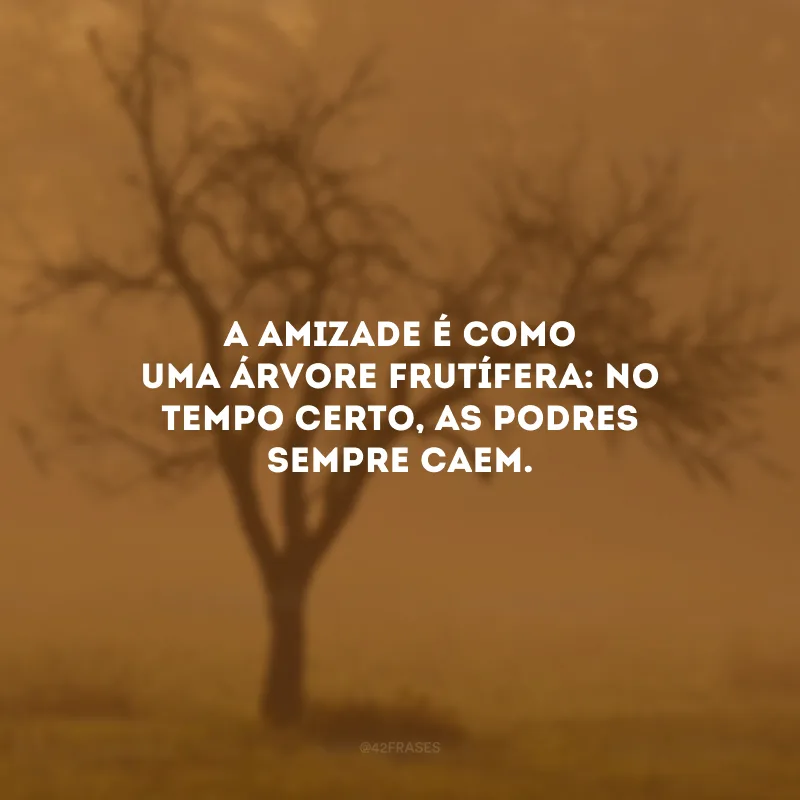 A amizade é como uma árvore frutífera: no tempo certo, as podres sempre caem.