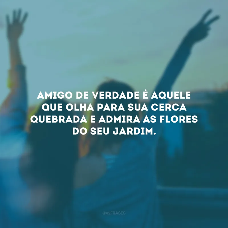 Amigo de verdade é aquele que olha para sua cerca quebrada e admira as flores do seu jardim.