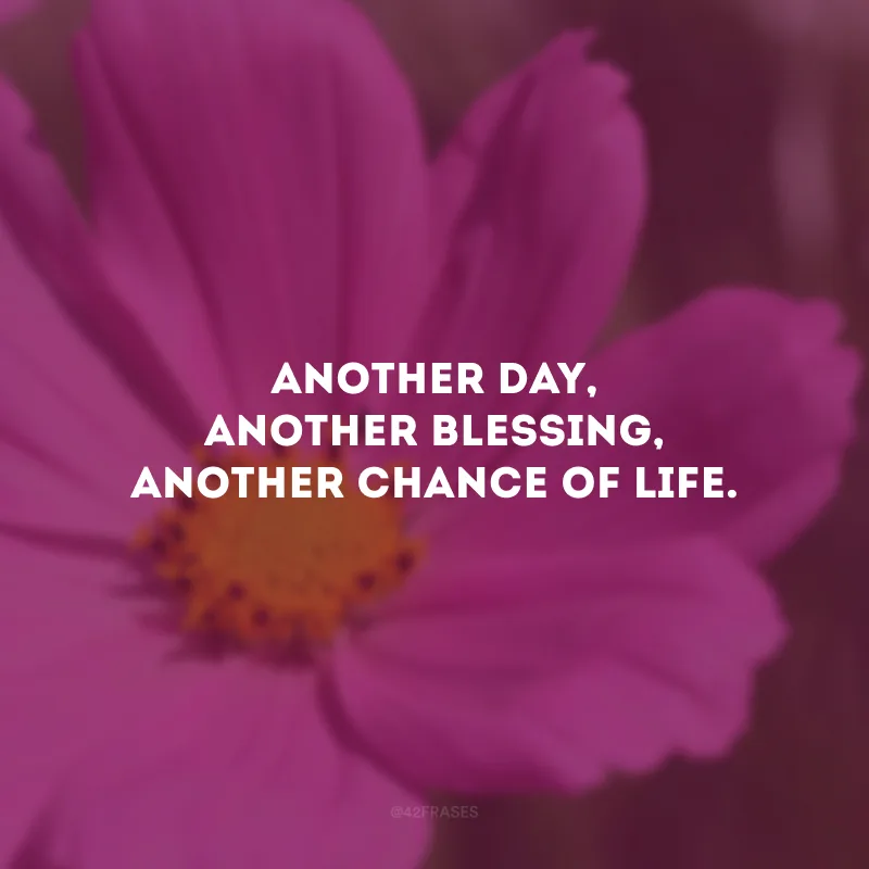 Another day, another blessing, another chance of life. (Outro dia, outra bênção, outra chance de vida.)