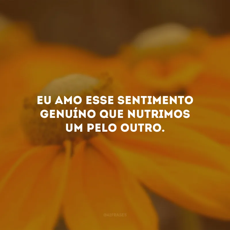Eu amo esse sentimento genuíno que nutrimos um pelo outro.