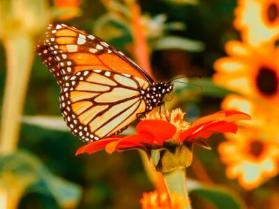 150 frases de reflexão que estimulam aprendizados