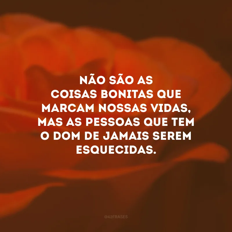 Não são as coisas bonitas que marcam nossas vidas, mas as pessoas que tem o dom de jamais serem esquecidas.