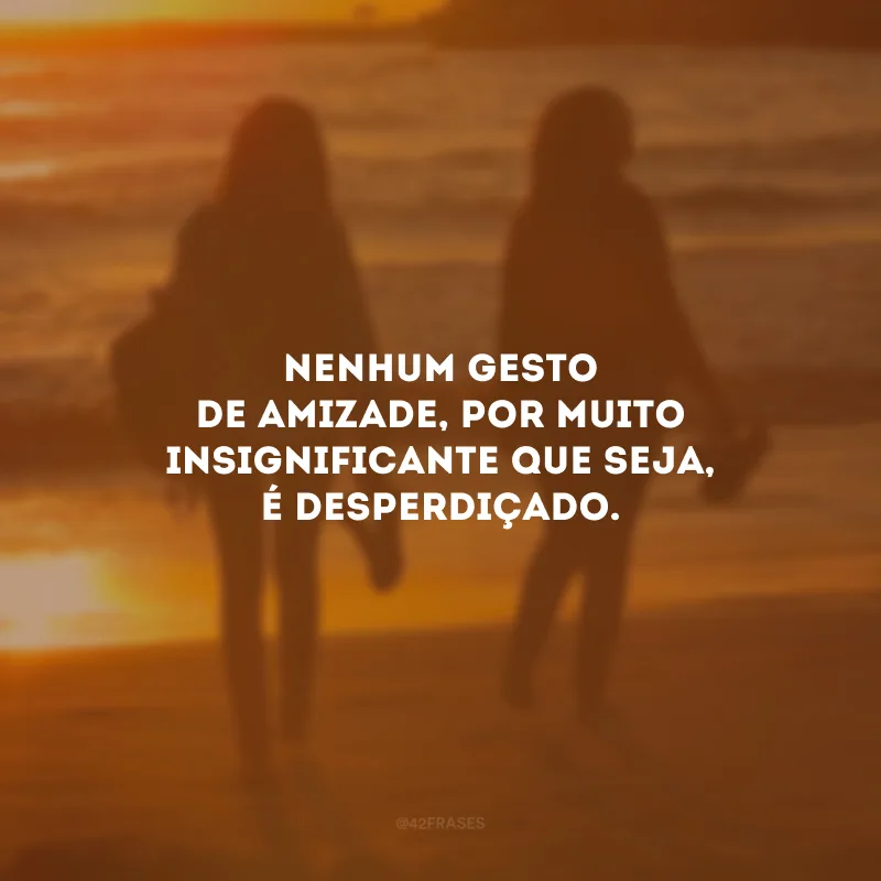 Nenhum gesto de amizade, por muito insignificante que seja, é desperdiçado.