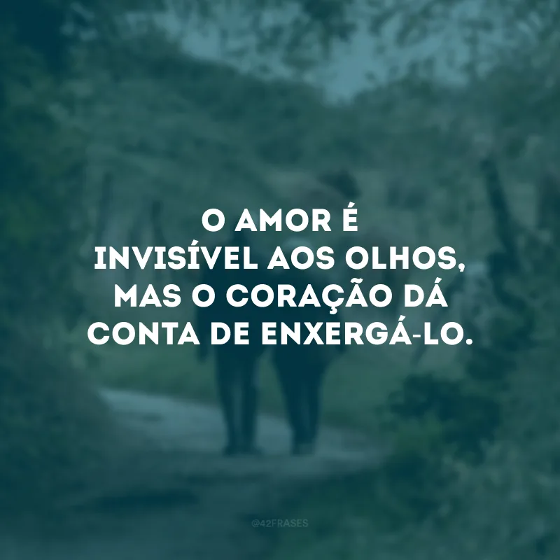 O amor é invisível aos olhos, mas o coração dá conta de enxergá-lo.