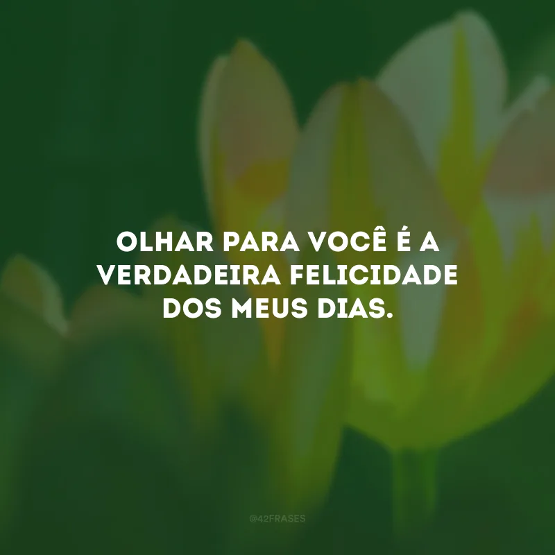 Olhar para você é a verdadeira felicidade dos meus dias.