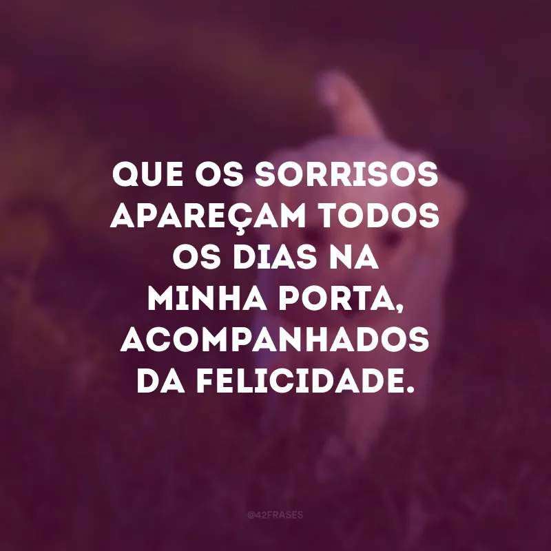 Que os sorrisos apareçam todos os dias na minha porta, acompanhados da felicidade.