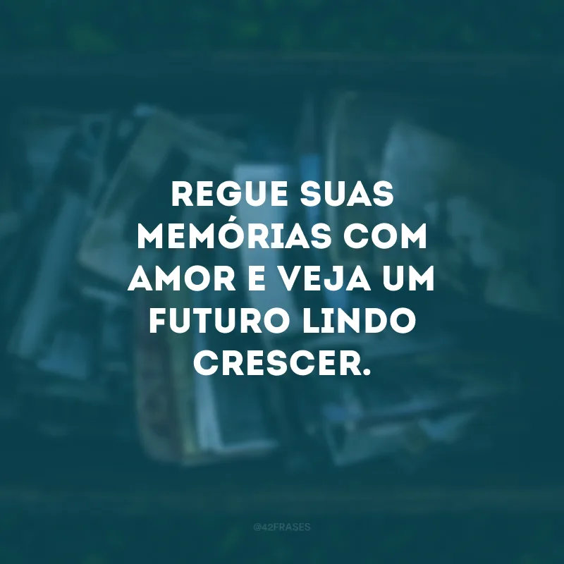 Regue suas memórias com amor e veja um futuro lindo crescer.