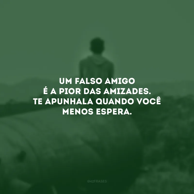 Um falso amigo é a pior das amizades. Te apunhala quando você menos espera.