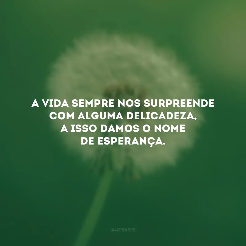A vida sempre nos surpreende com alguma delicadeza, a isso damos o nome de esperança.