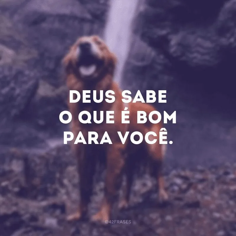 Deus sabe o que é bom para você.