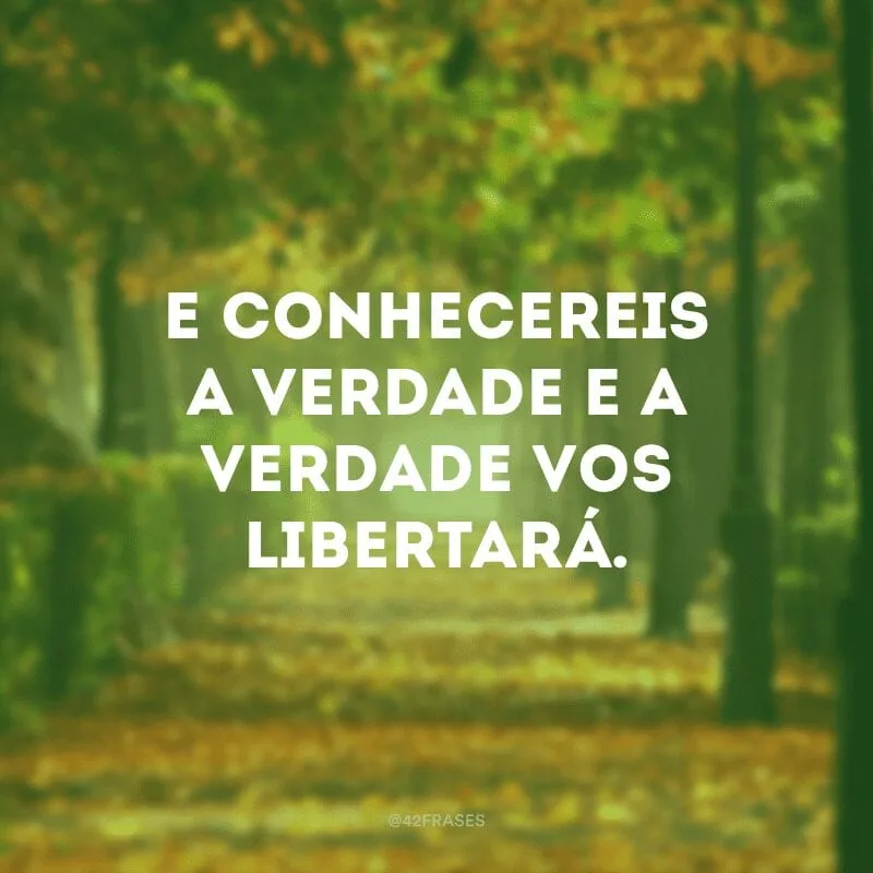 E conhecereis a verdade e a verdade vos libertará. 