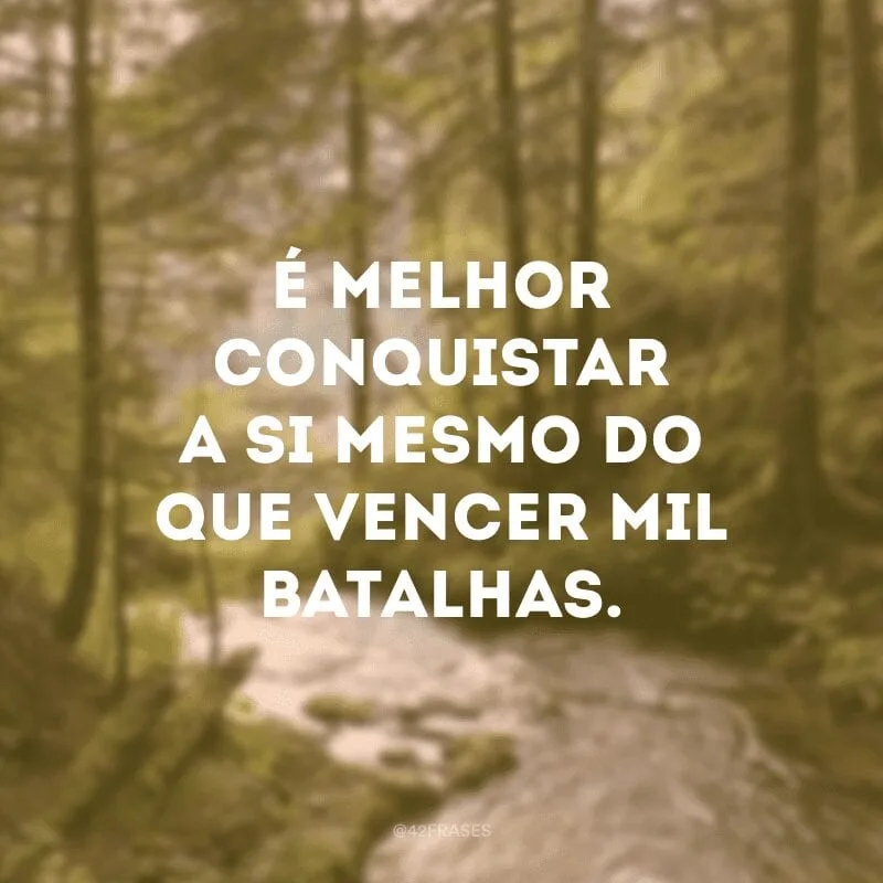 É melhor conquistar a si mesmo do que vencer mil batalhas.