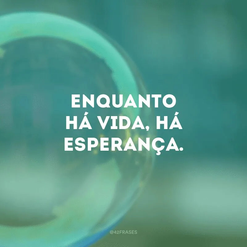 Enquanto há vida, há esperança.