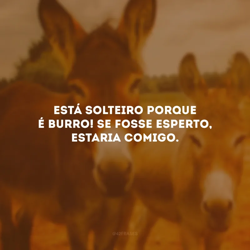 Está solteiro porque é burro! Se fosse esperto, estaria comigo.