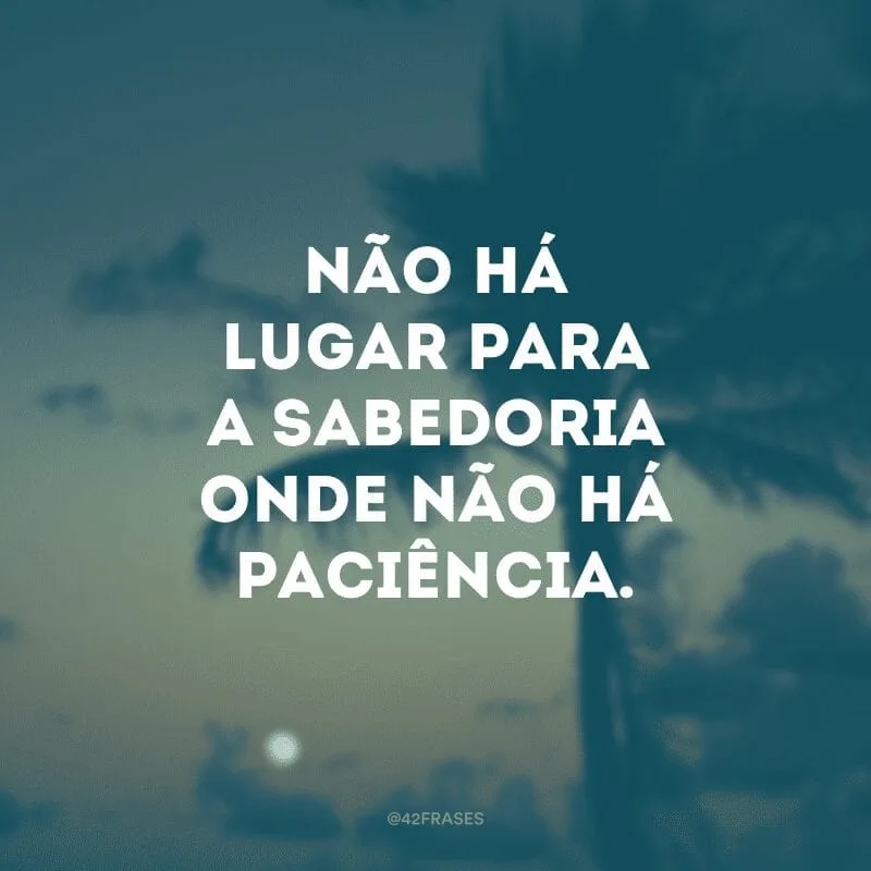 Não há lugar para a sabedoria onde não há paciência.