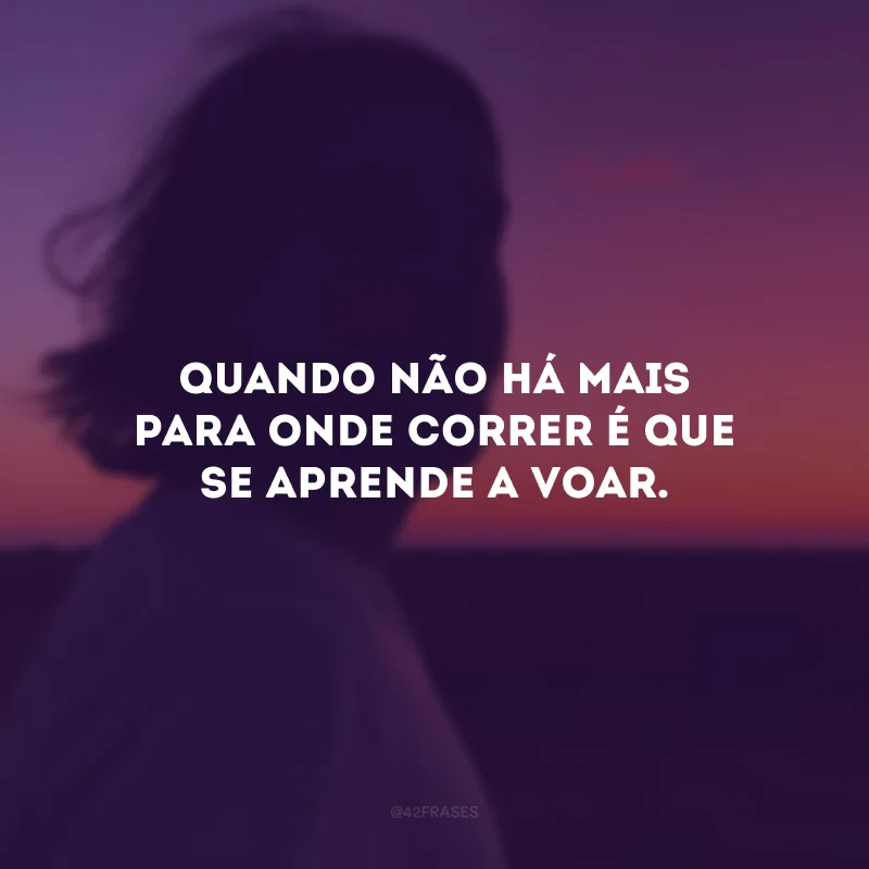 Quando não há mais para onde correr é que se aprende a voar.
