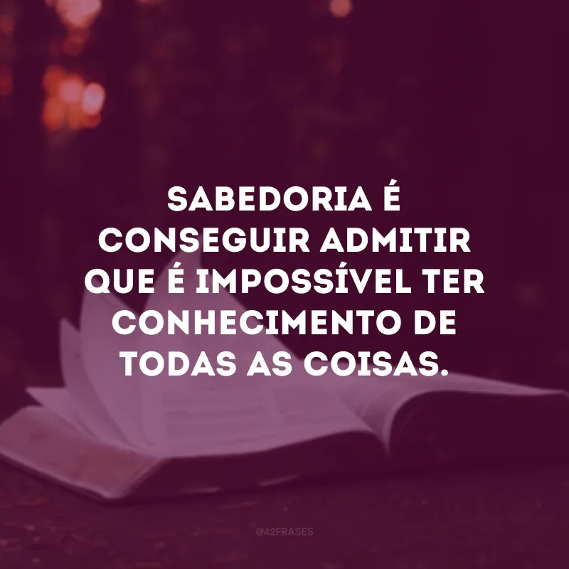 Sabedoria é conseguir admitir que é impossível ter conhecimento de todas as coisas.