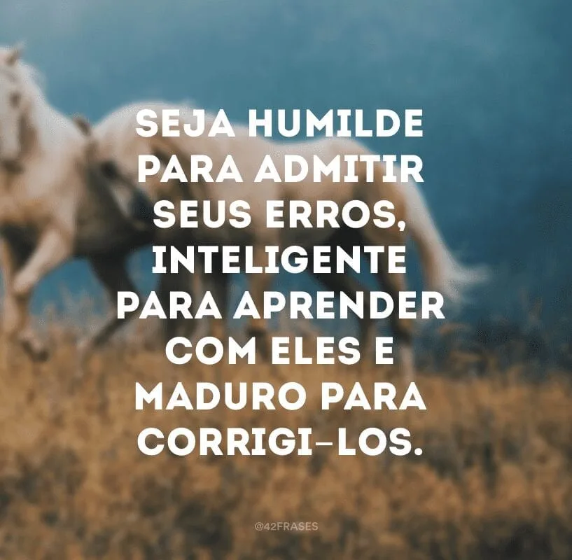 Seja humilde para admitir seus erros, inteligente para aprender com eles e maduro para corrigi-los.