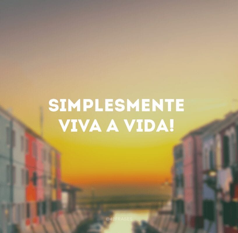 Simplesmente viva a vida!