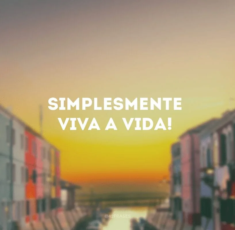 Simplesmente viva a vida!