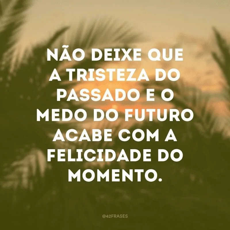 Não deixe que a tristeza do passado e o medo do futuro acabe com a felicidade do momento.