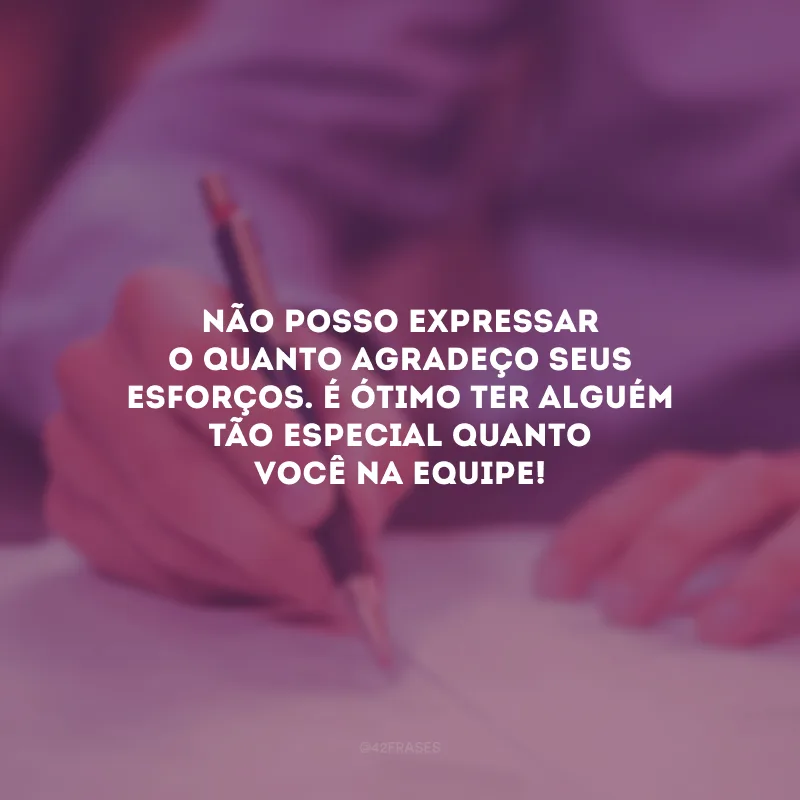 Não posso expressar o quanto agradeço seus esforços. É ótimo ter alguém tão especial quanto você na equipe!