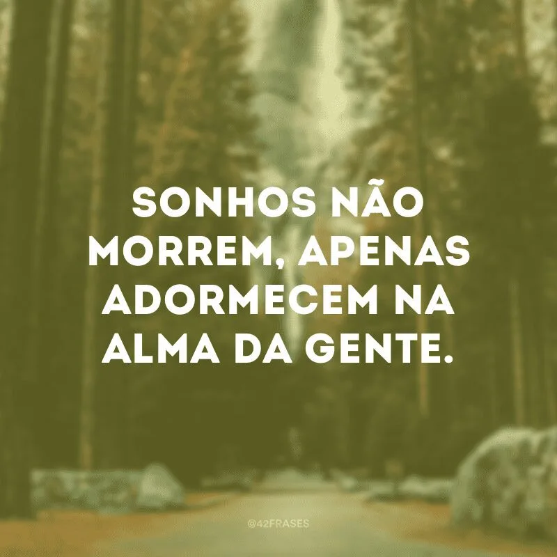 Sonhos não morrem, apenas adormecem na alma da gente. 