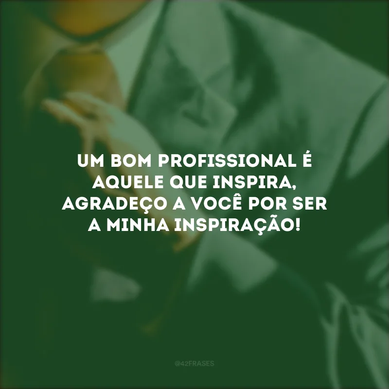 Um bom profissional é aquele que inspira, agradeço a você por ser a minha inspiração!