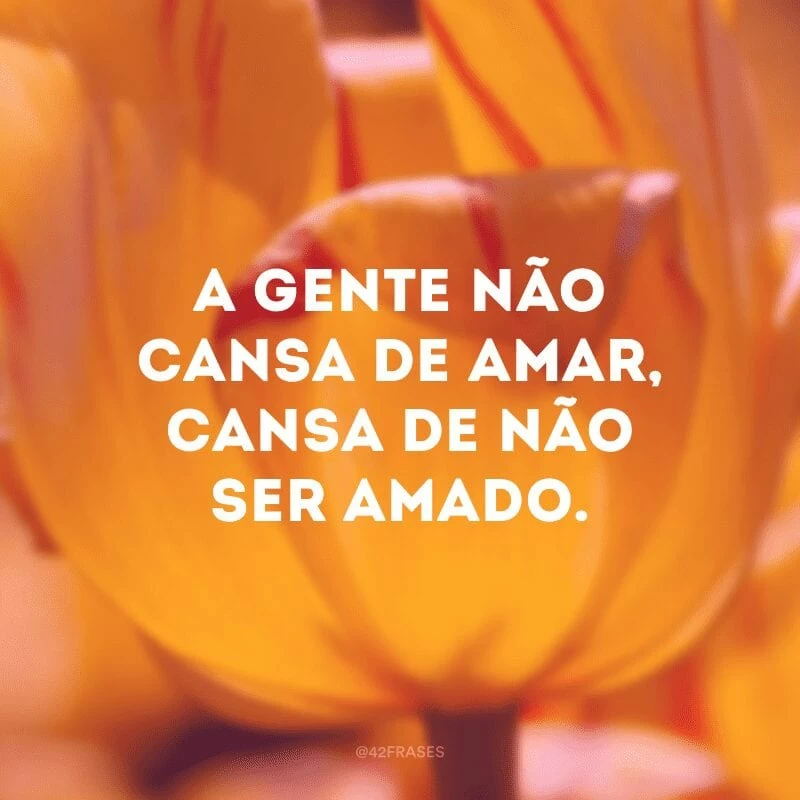 A gente não cansa de amar, cansa de não ser amado.