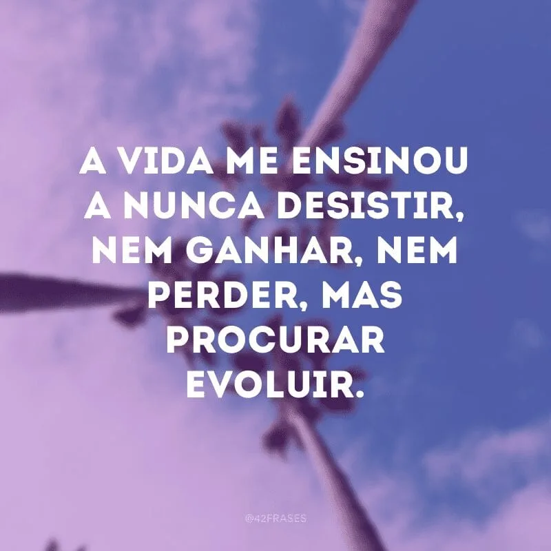 A vida me ensinou a nunca desistir, nem ganhar, nem perder, mas procurar evoluir. 