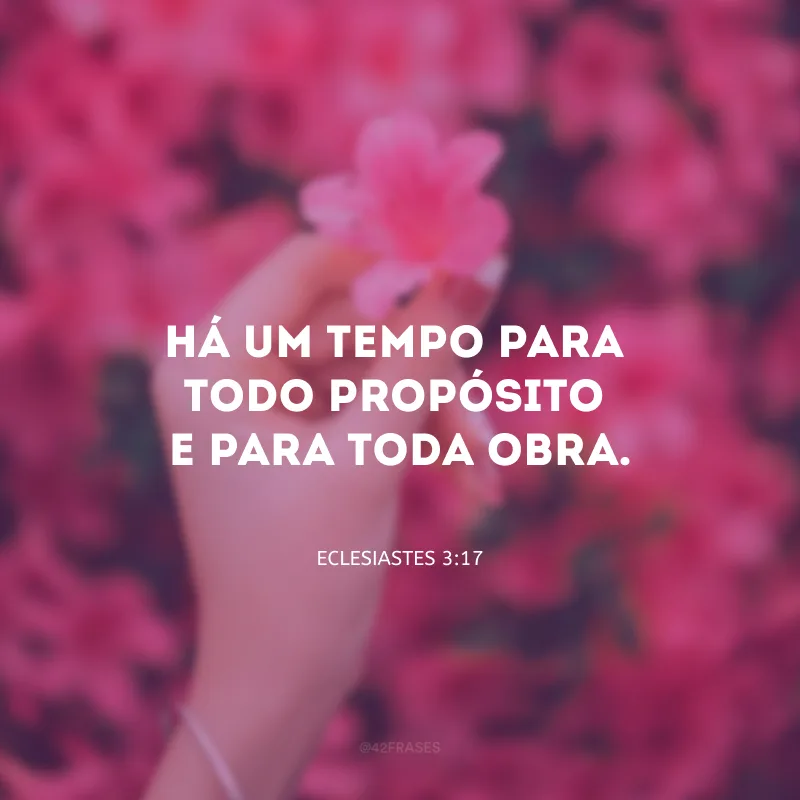 Há um tempo para todo propósito e para toda obra.