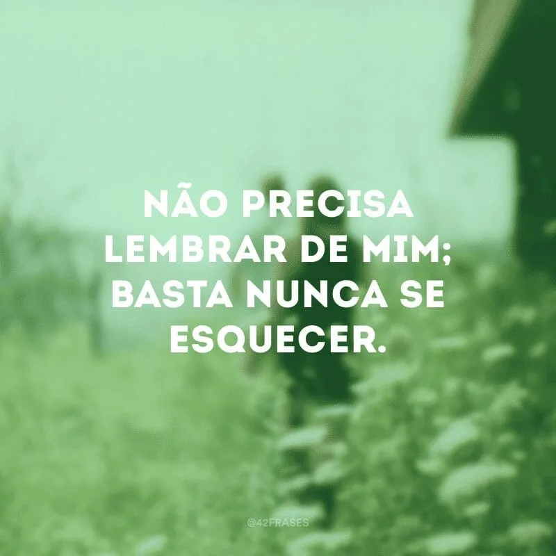 Não precisa lembrar de mim; basta nunca se esquecer.
