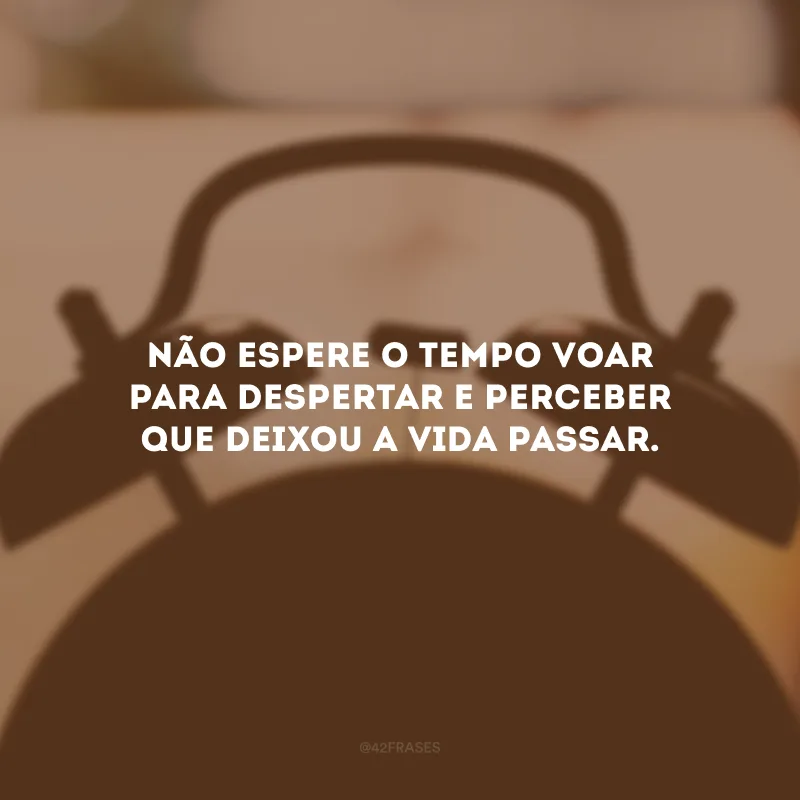 Não espere o tempo voar para despertar e perceber que deixou a vida passar.