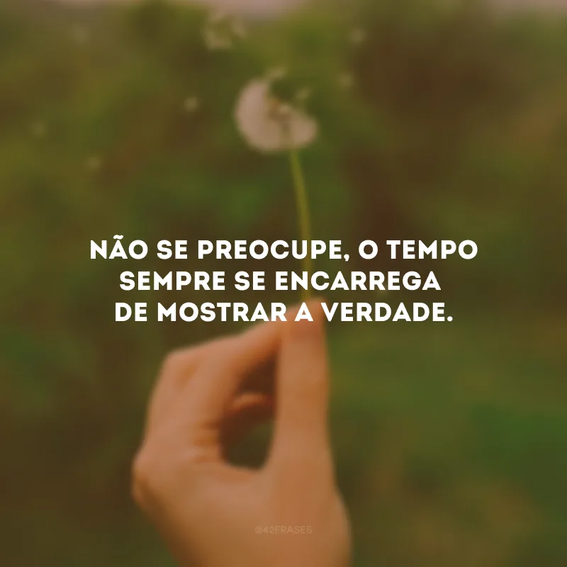 Não se preocupe, o tempo sempre se encarrega de mostrar a verdade.