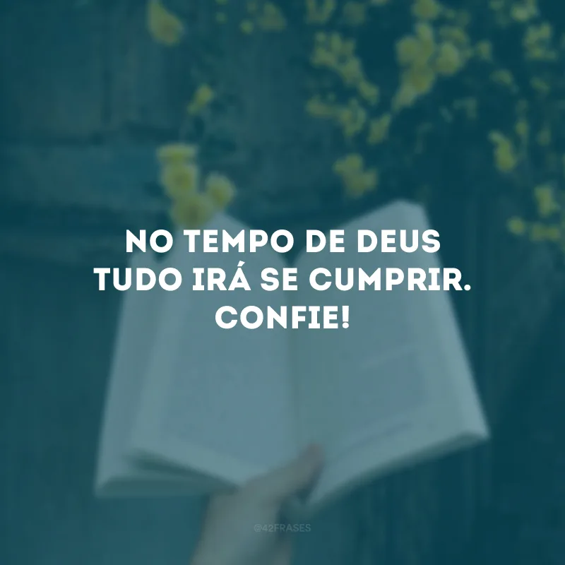 No tempo de Deus tudo irá se cumprir. Confie!
