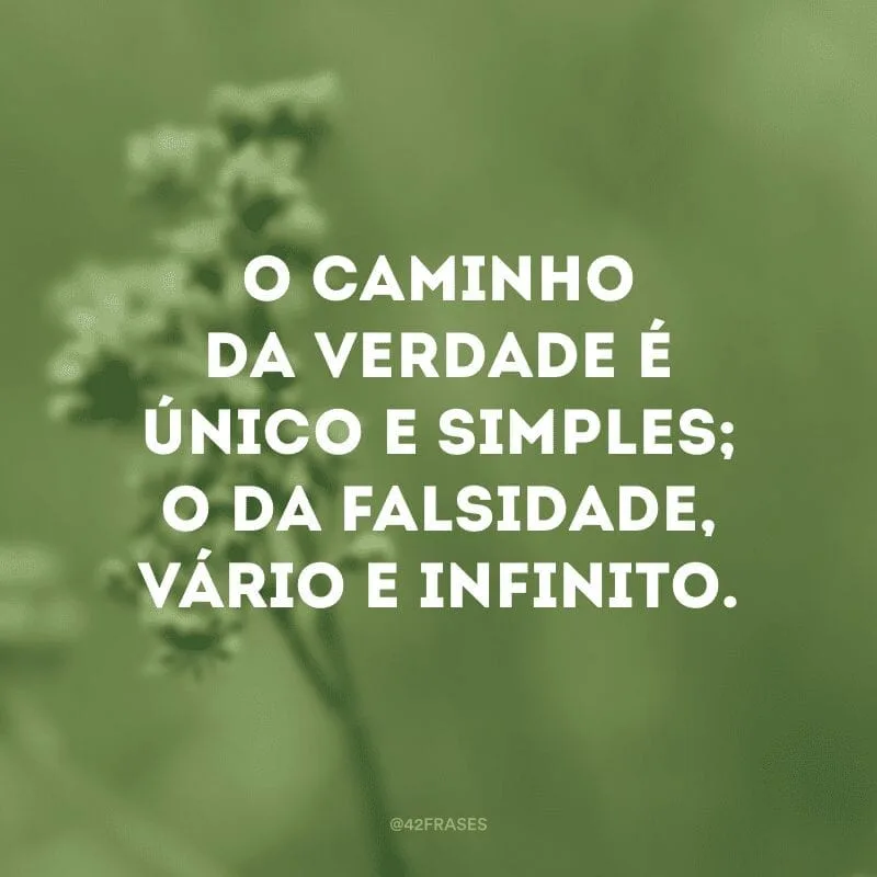 O caminho da verdade é único e simples; o da falsidade, vário e infinito.