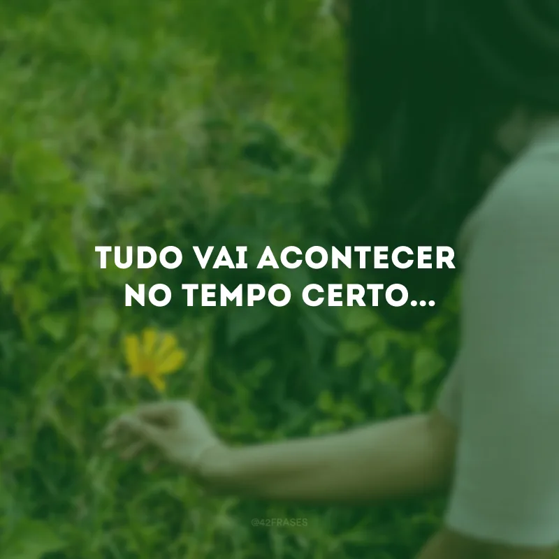 Tudo vai acontecer no tempo certo...