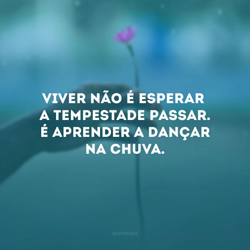 Viver não é esperar a tempestade passar. É aprender a dançar na chuva.