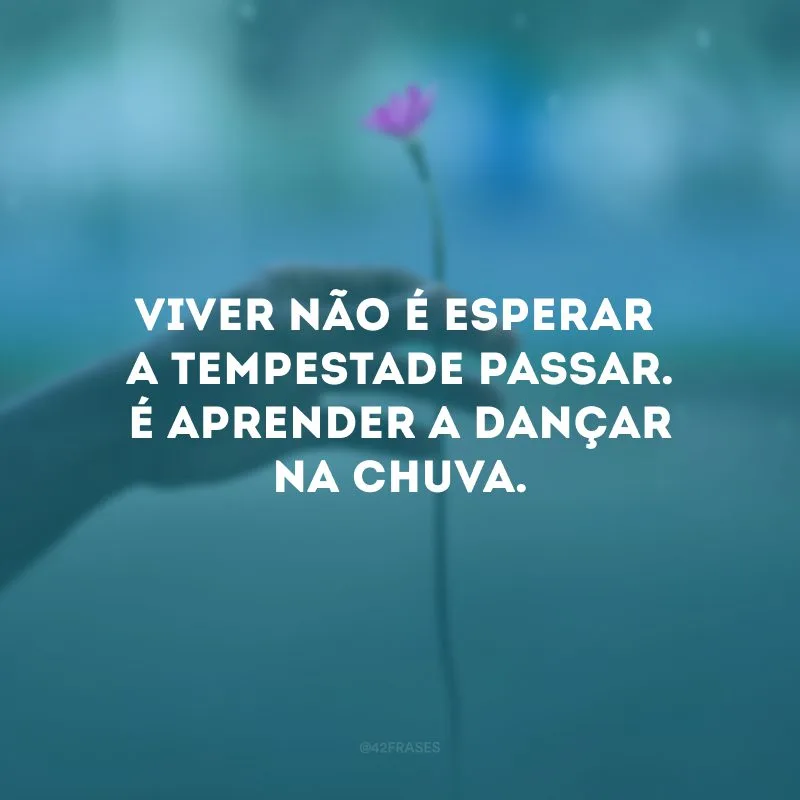Viver não é esperar a tempestade passar. É aprender a dançar na chuva.