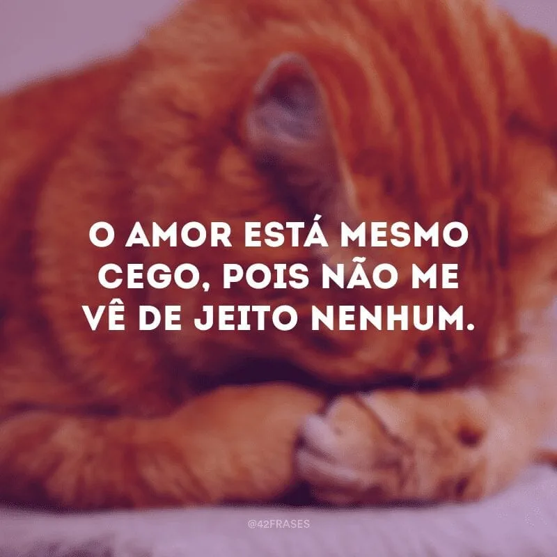 O amor está mesmo cego, pois não me vê de jeito nenhum. 