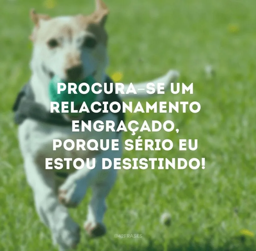 Procura-se um relacionamento engraçado, porque sério eu estou desistindo!