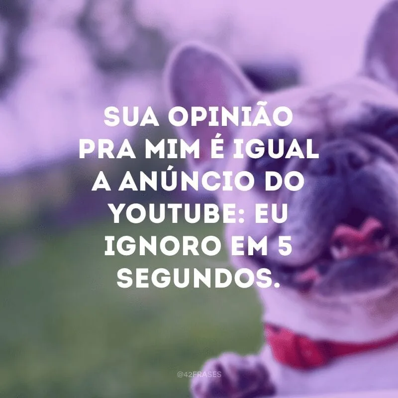 Sua opinião pra mim é igual a anúncio do Youtube: eu ignoro em 5 segundos. 