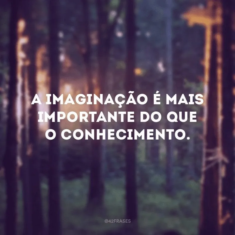 A imaginação é mais importante do que o conhecimento.