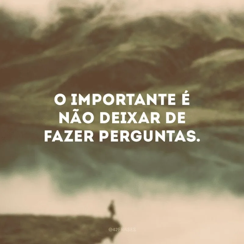 O importante é não deixar de fazer perguntas.