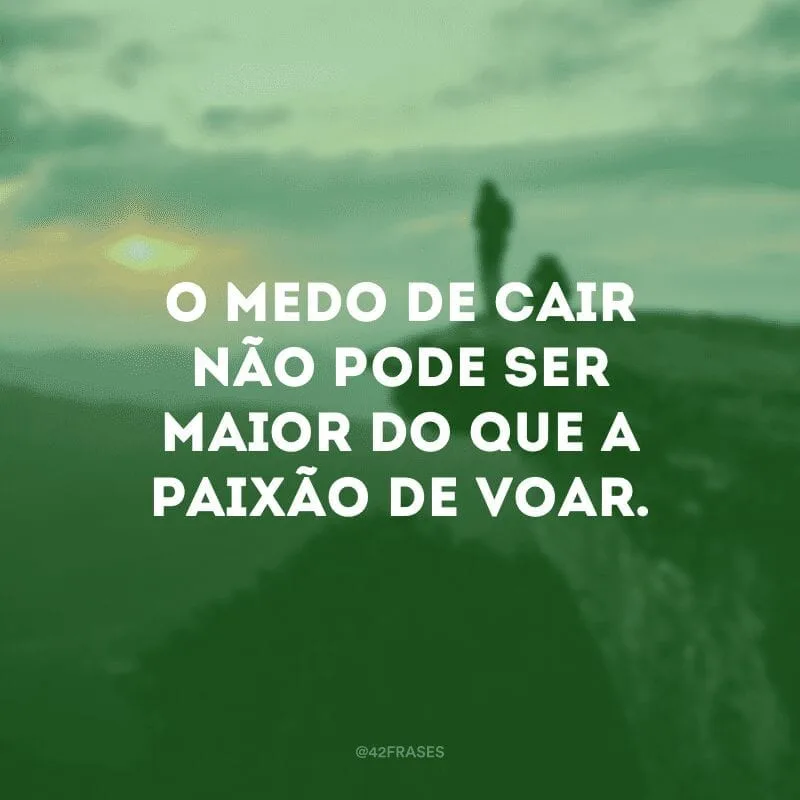 O medo de cair não pode ser maior do que a paixão de voar.