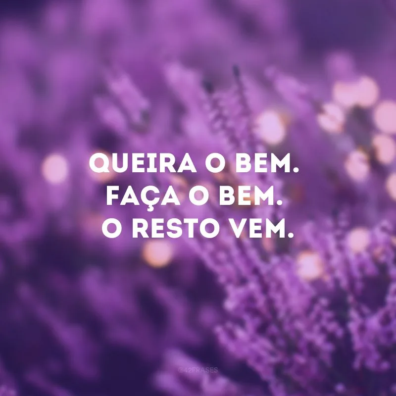 Queira o bem. Faça o bem. O resto vem.