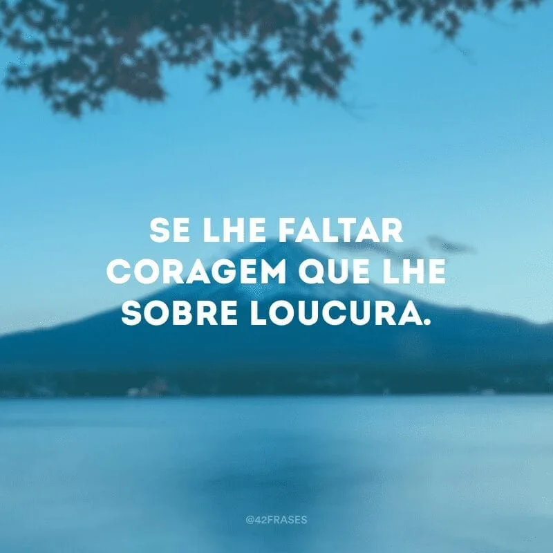 Se lhe faltar coragem que lhe sobre loucura. 