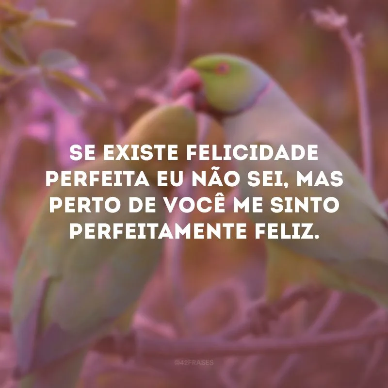 Se existe felicidade perfeita eu não sei, mas perto de você me sinto perfeitamente feliz.