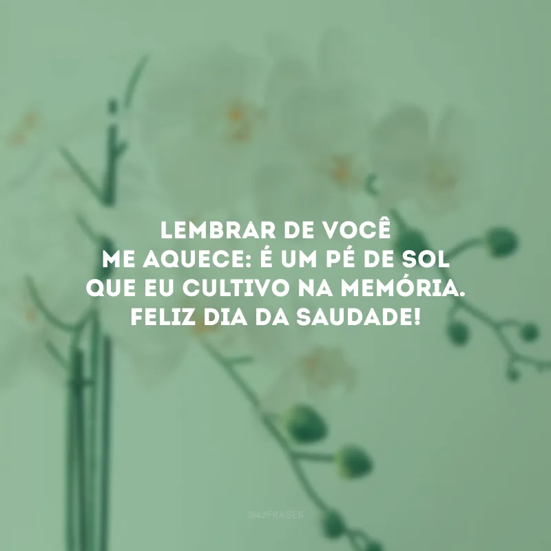 Lembrar de você me aquece: é um pé de sol que eu cultivo na memória. Feliz Dia da Saudade!