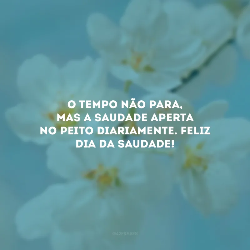 O tempo não para, mas a saudade aperta no peito diariamente. Feliz Dia da Saudade!